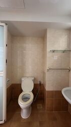 Dunearn Road (D11), Condominium #597174991